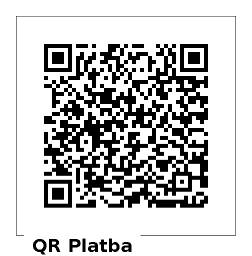 QR Platba 100